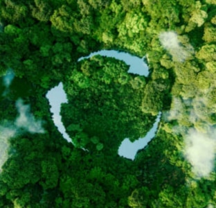 Top view of a forest with the Recycle symbol forming in water