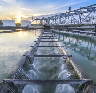 Water purifying plant