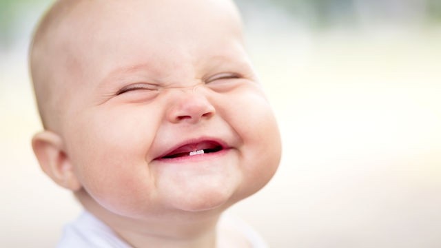 Baby Teething Timeline