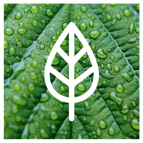 leaf icon over green leaf photo leaf icon over green leaf photo