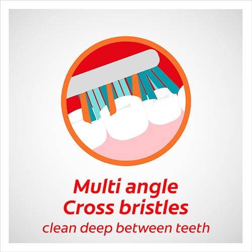 Multi angle Cross bristles clean deep between teeth