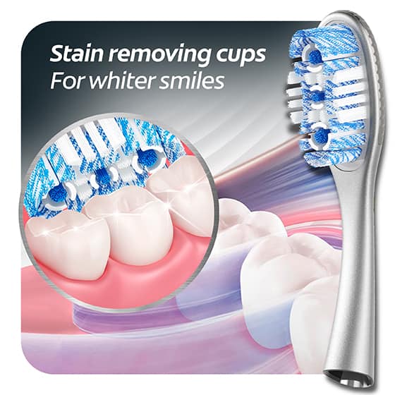 Colgate link