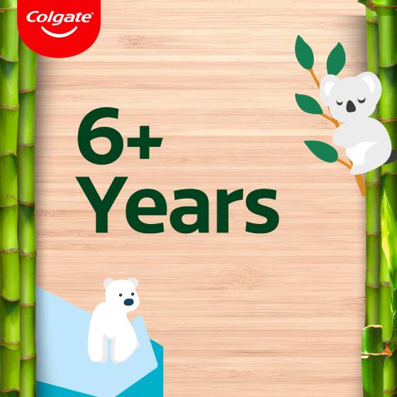 6+ years